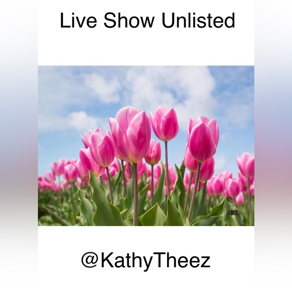 @kathytheez unlisted live show items - Picture 1 of 1